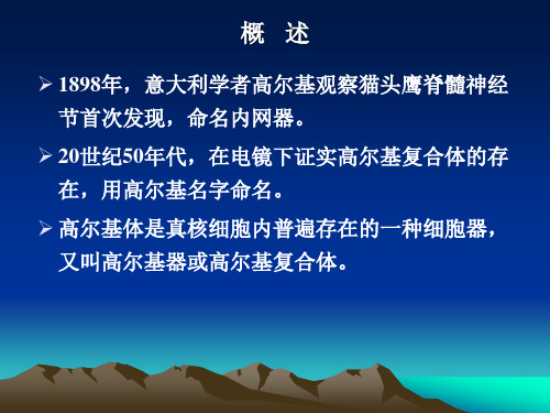 195.4具有极性的高尔基体