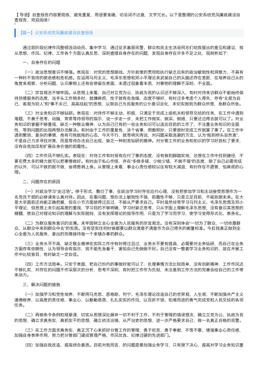 公安系统党风廉政建设自查报告