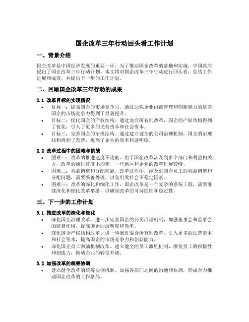 国企改革三年行动回头看工作计划