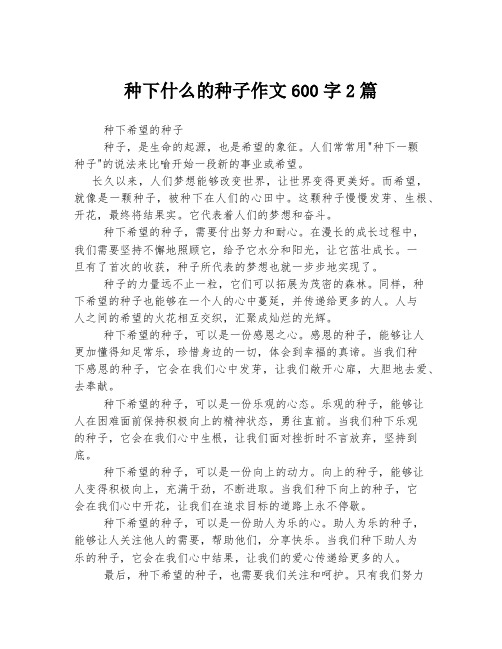 种下什么的种子作文600字