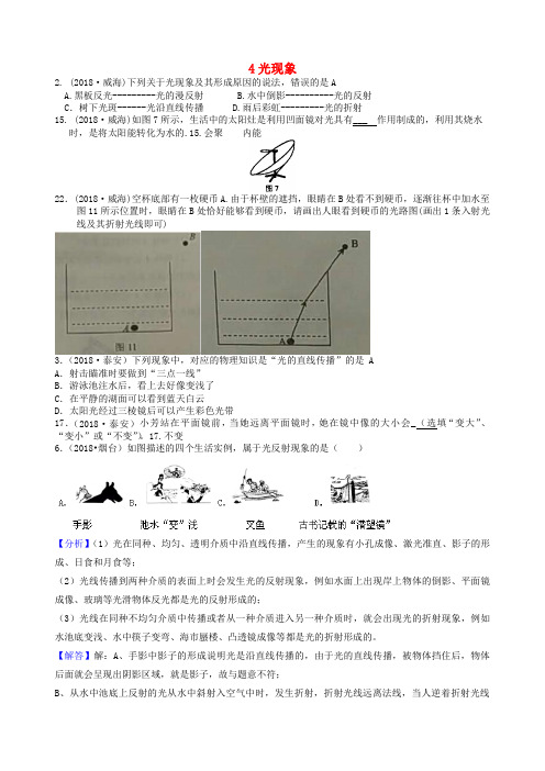 中考物理题分类汇编4光现象word版-2019~2020学年度