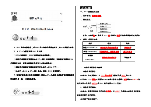 2021-2022高中生物人教版必修2习题：第4章 第1节 基因指导蛋白质的合成 