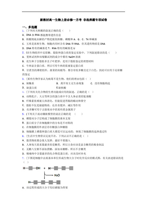 新教材高一生物上册必修一月考 非选择题专项试卷