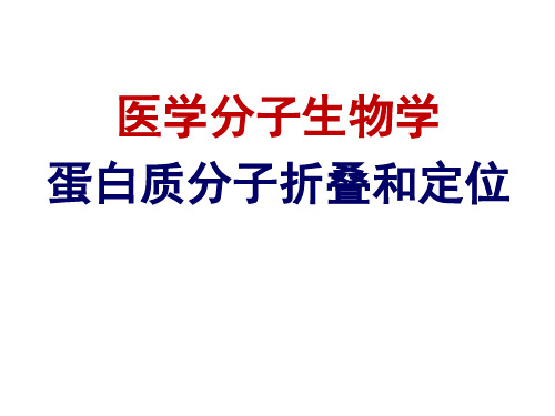 医学分子生物学之蛋白质分子折叠和定位