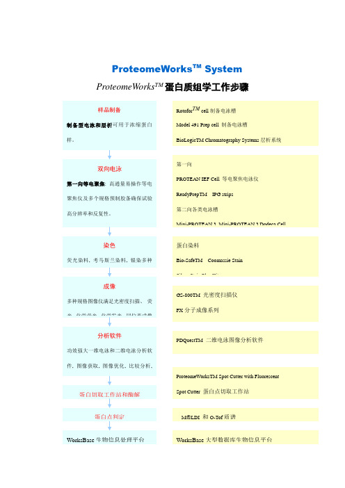 蛋白质组学工作流程