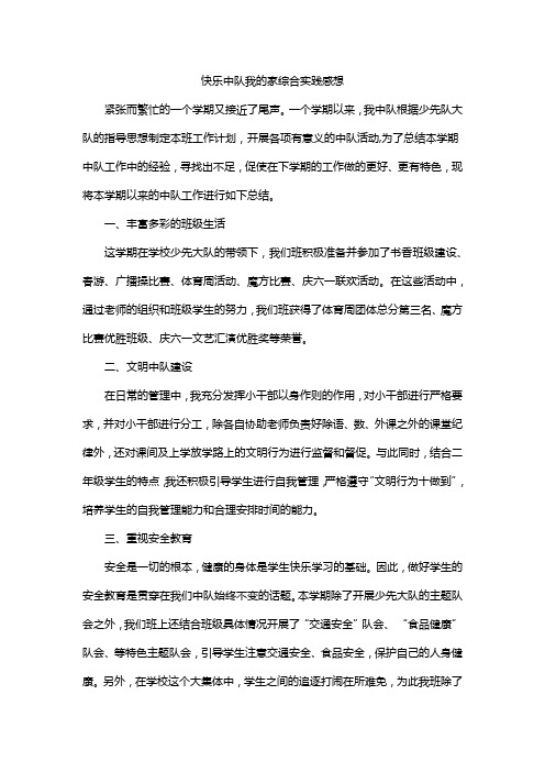 快乐中队我的家综合实践感想