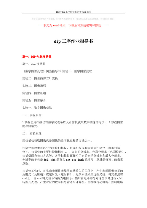 2019-dip工序作业指导书word版本 (17页)