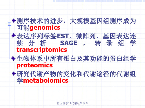 基因组学11代谢组学课件