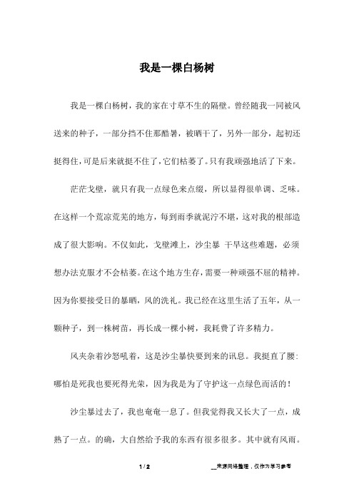 我是一棵白杨树