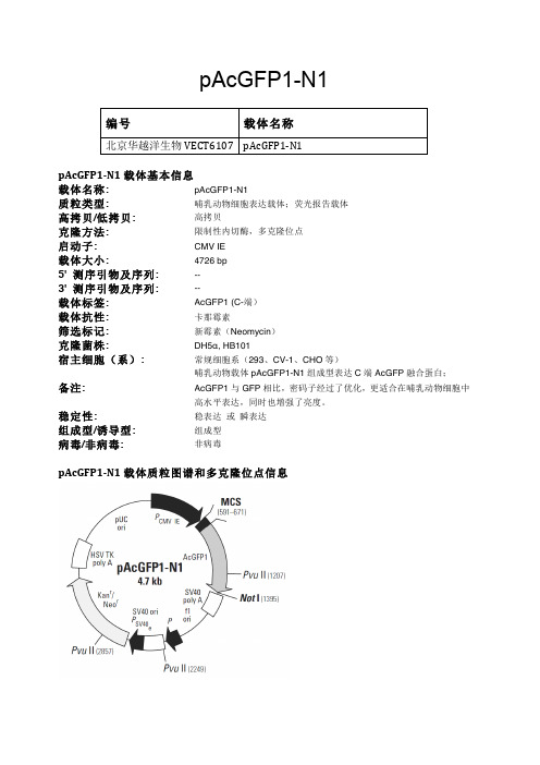 【VIP专享】pAcGFP1-N1哺乳动物表达载体说明