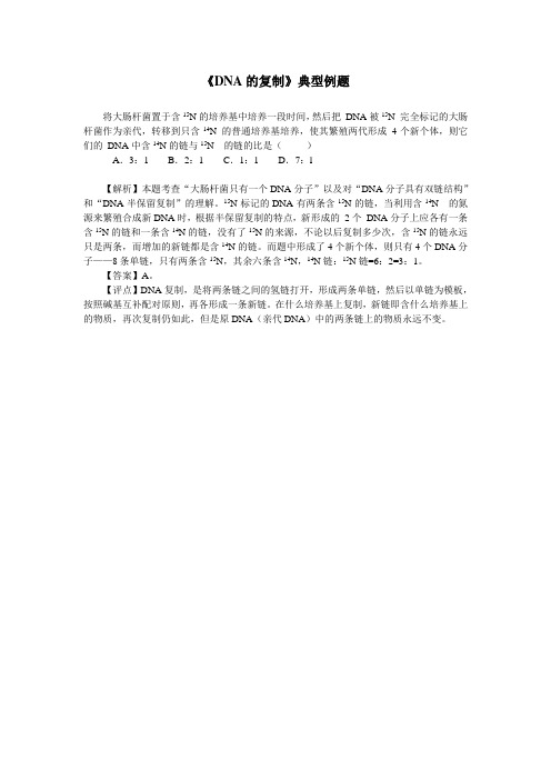 《DNA的复制》典型例题