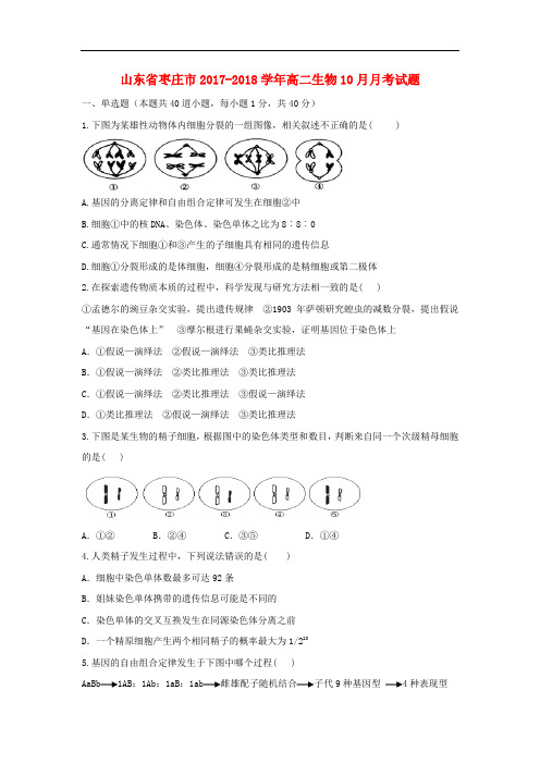 山东省枣庄市高二生物10月月考试题