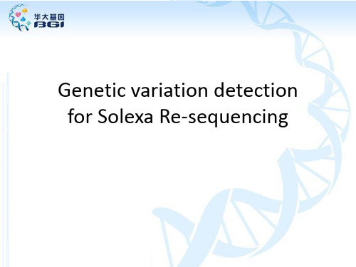 6-Re-sequencing(华大基因高通量测序内部培训资料)