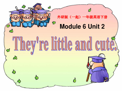 2023一下Module 6《Unit 2 They’re little and cute》2