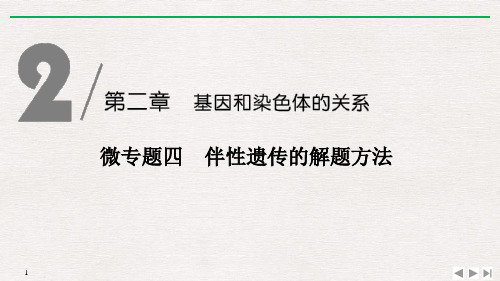 人教版高中生物必修二   微专题四 伴性遗传的解题方法