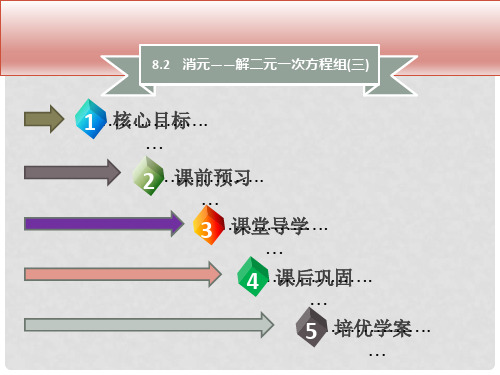 七年级数学下册 第八章 二元一次方程组 8.2 消元—解二元一次方程组(三)课件 (新版)新人教版