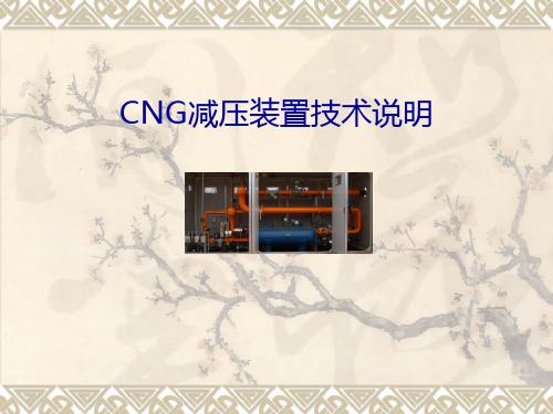 CNG减压装置技术说明