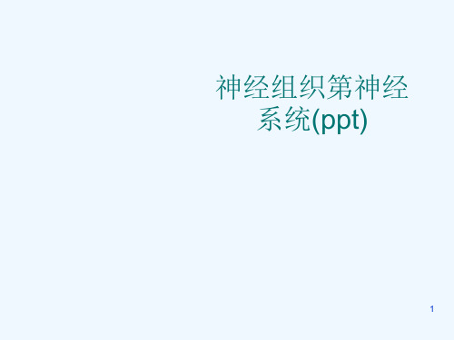 神经组织第神经系统(ppt)