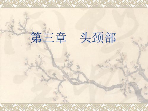 第三章 头颈部