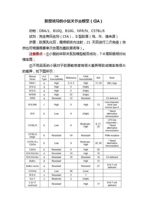 胶原诱导的小鼠关节炎模型（CIA）