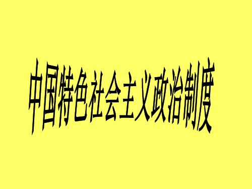 中国特色社会主义政治制度