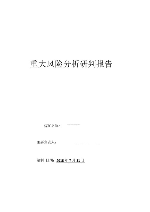 重大风险分析研判报告(修改)