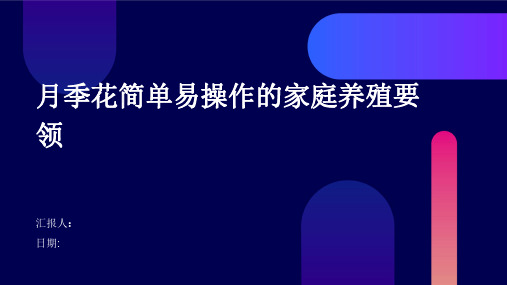 月季花简单易操作的家庭养殖要领