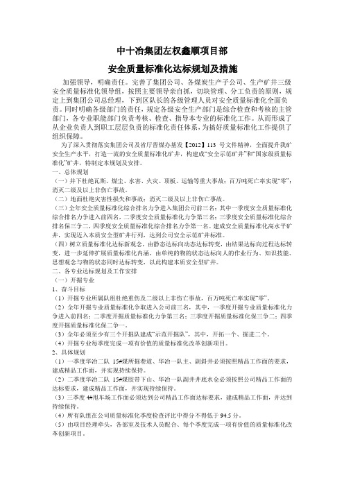 安全质量标准化达标规划及措施