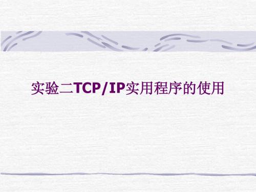 实验二TCPIP实用程序的使用