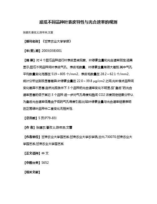 甜瓜不同品种叶表皮特性与光合速率的观测