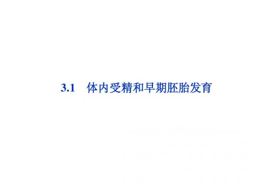 专题3 3.1 体内受精和早期胚胎发育