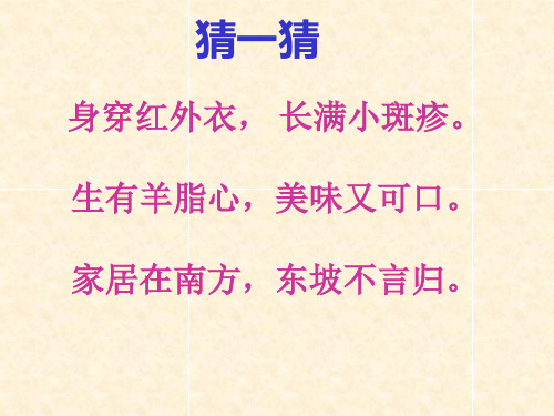 荔枝图序