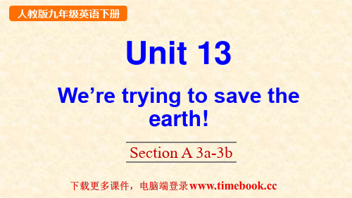 人教版九年级英语下册 Unit 13 Section A 3a-3b