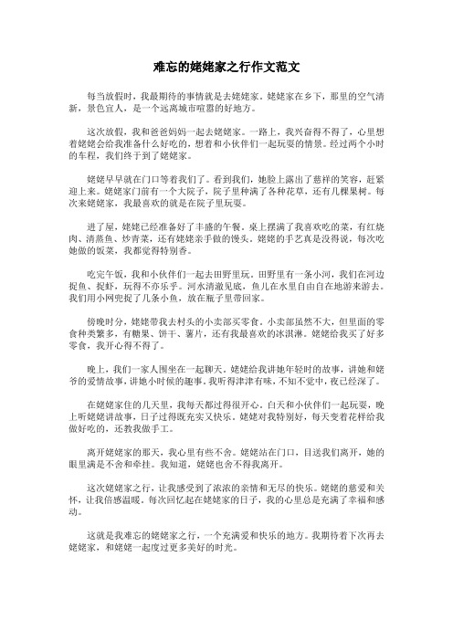 难忘的姥姥家之行作文范文