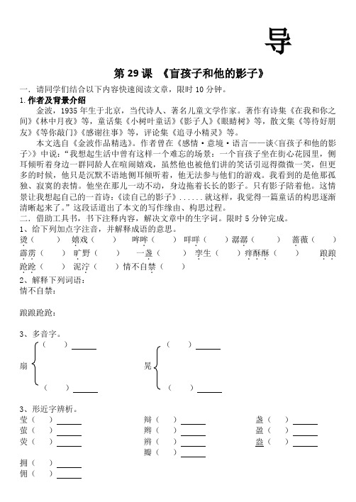 29 盲孩子和他的影子