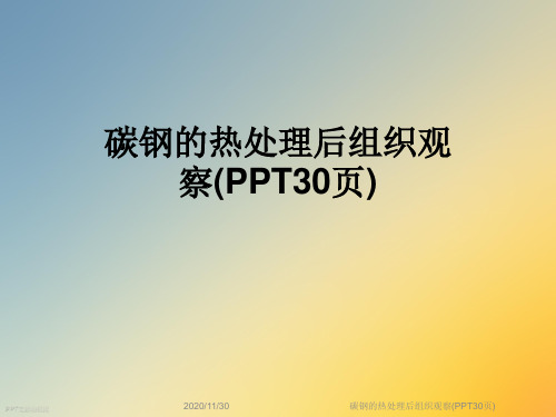 碳钢的热处理后组织观察(PPT30页)