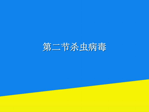 第二节杀虫病毒【实用资料】