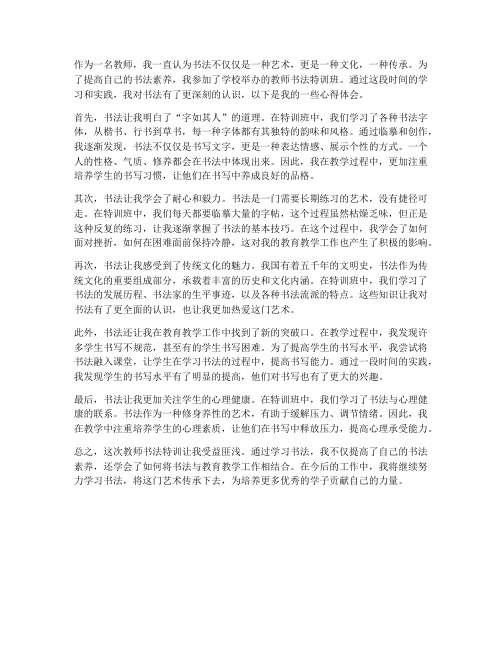 教师书法特训心得体会