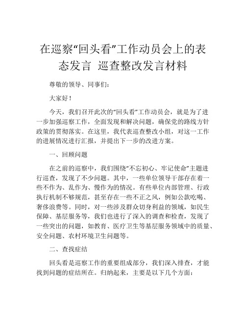 在巡察“回头看”工作动员会上的表态发言 巡查整改发言材料