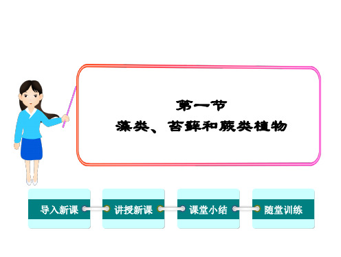 最新人教版七年级生物上册 第三单元 第一章1.第一节  藻类、苔藓和蕨类植物 课件