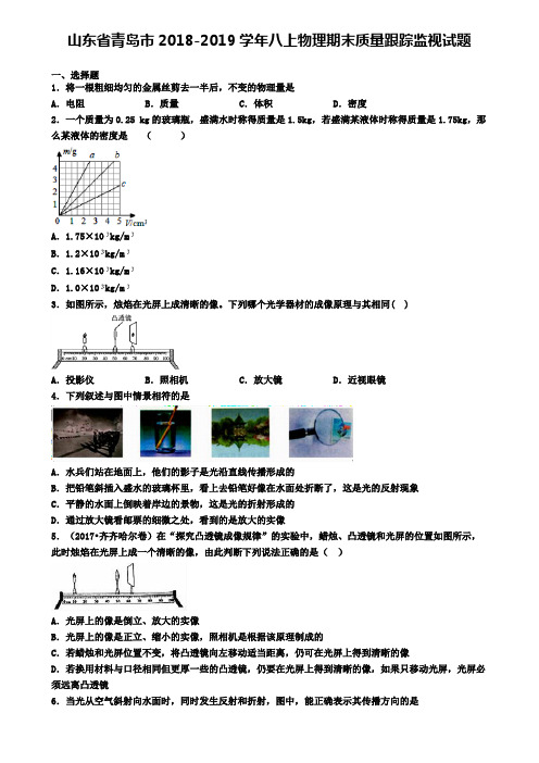 山东省青岛市2018-2019学年八上物理期末质量跟踪监视试题