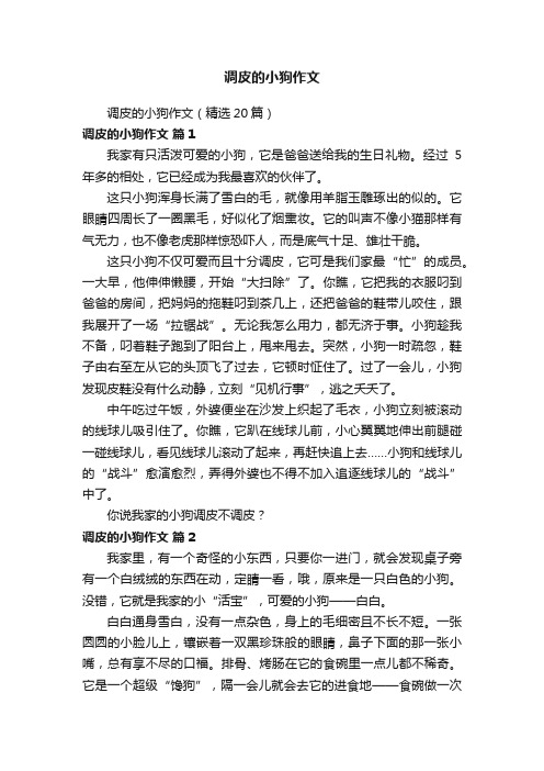 调皮的小狗作文（精选20篇）