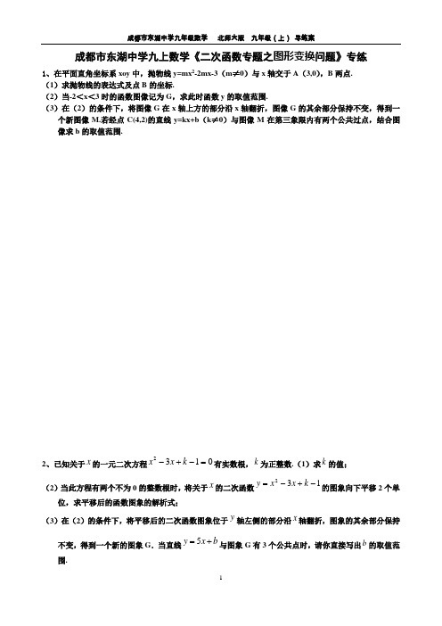 成都市东湖中学九上数学《二次函数专题之图形变换问题》专练