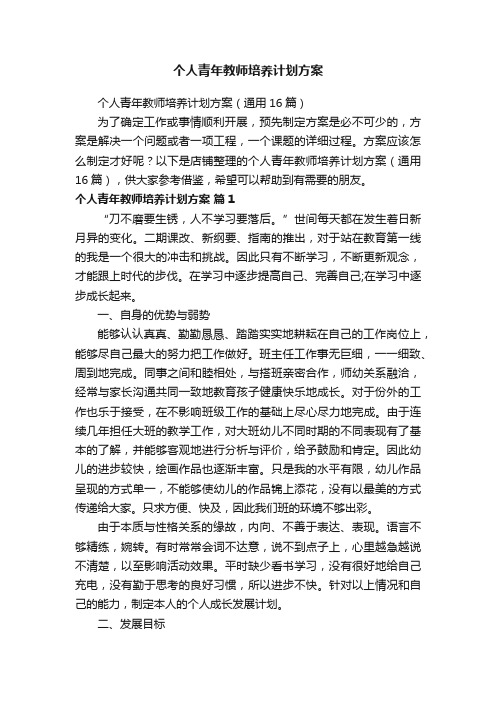 个人青年教师培养计划方案