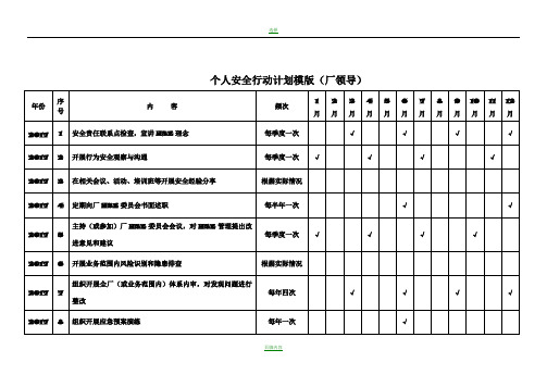 2017个人安全行动计划模版