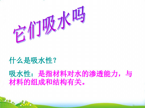 【教科版】科学课件《它们吸水吗》PPT-上课课件1