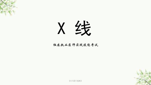 《X片读片指南》课件