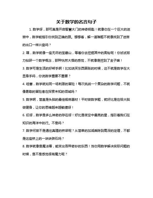 关于数学的名言句子