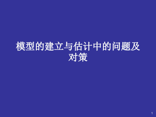 模型的建立与估计中的问题及解决方案