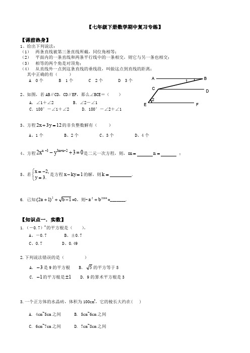 七年级下册数学期中复习专练教案讲义